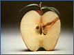 Apple – 1982
